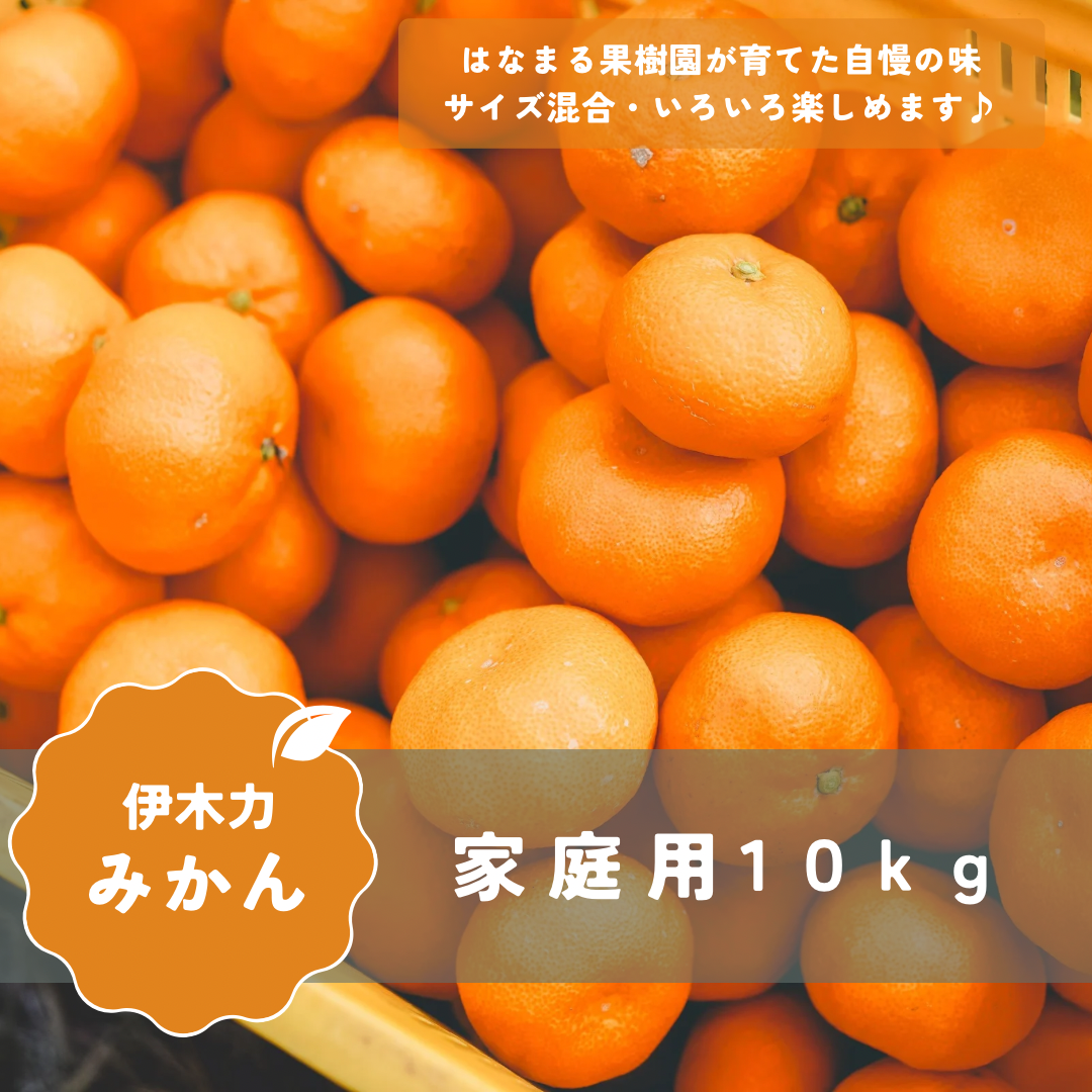 家庭用みかん 【10kg】 | はなまる果樹園